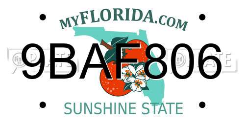 9BAF806 Florida License Plate