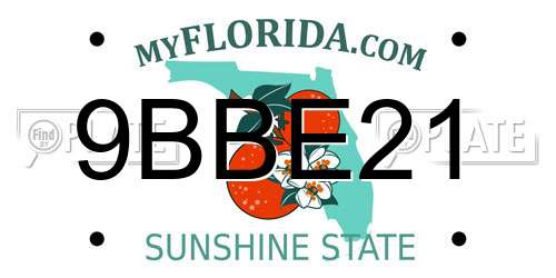 9BBE21 Florida License Plate