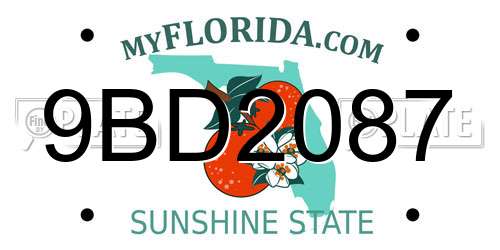 9BD2087 Florida License Plate