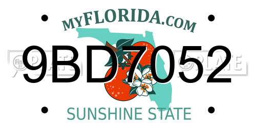 9BD7052 Florida License Plate