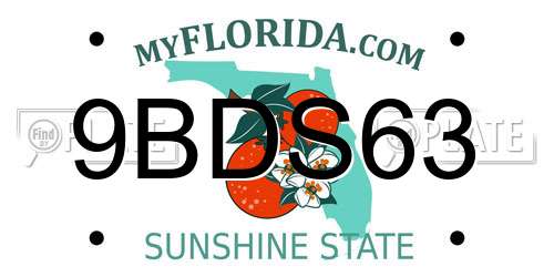 9BDS63 Florida License Plate