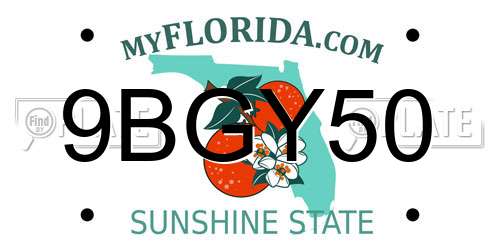 9BGY50 Florida License Plate