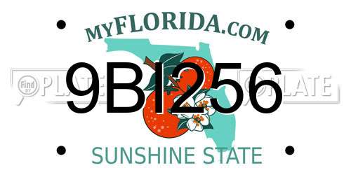 9BI256 Florida License Plate