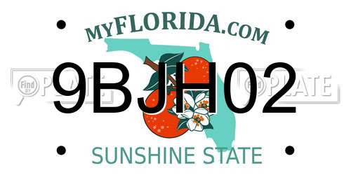 9BJH02 Florida License Plate