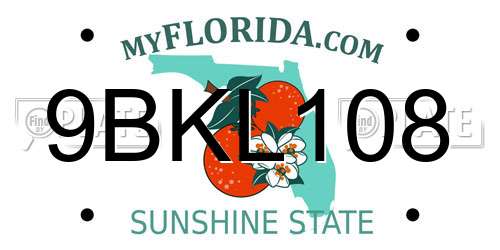 9BKL108 Florida License Plate