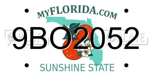 9BO2052 Florida License Plate