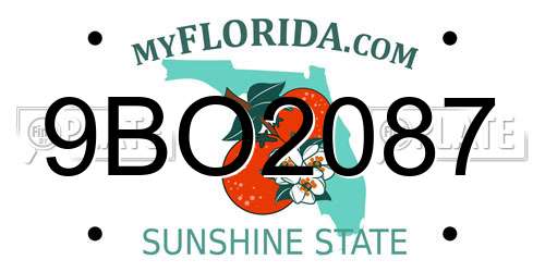9BO2087 Florida License Plate