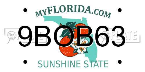 9BOB63 Florida License Plate