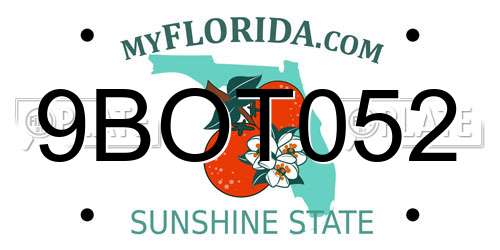 9BOT052 Florida License Plate