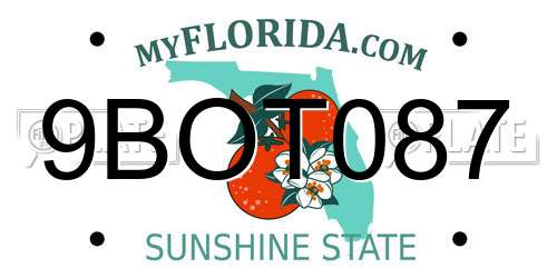 9BOT087 Florida License Plate