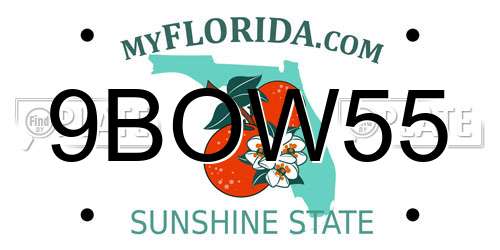 9BOW55 Florida License Plate