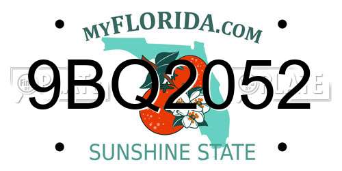 9BQ2052 Florida License Plate