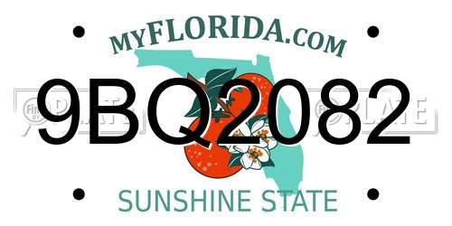 9BQ2082 Florida License Plate