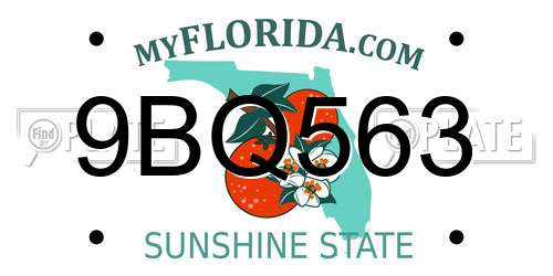 9BQ563 Florida License Plate