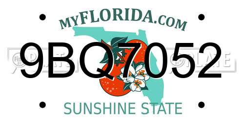 9BQ7052 Florida License Plate
