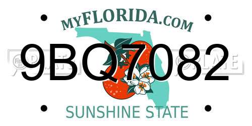 9BQ7082 Florida License Plate