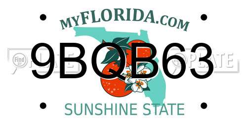 9BQB63 Florida License Plate