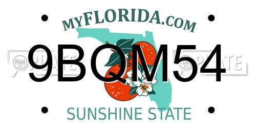 9BQM54 Florida License Plate
