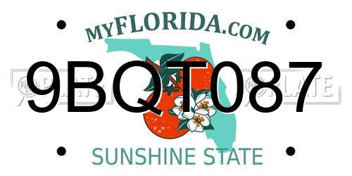 9BQT087 Florida License Plate