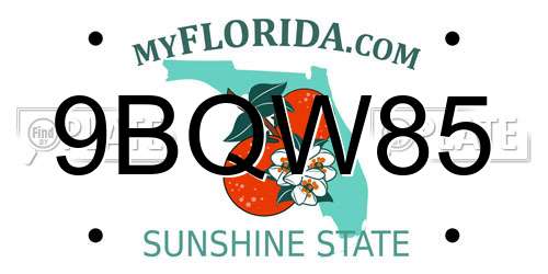 9BQW85 Florida License Plate