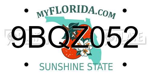 9BQZ052 Florida License Plate