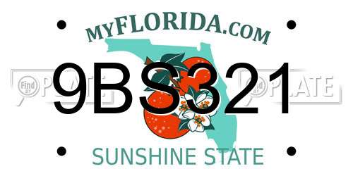 9BS321 Florida License Plate
