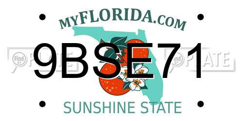 9BSE71 Florida License Plate