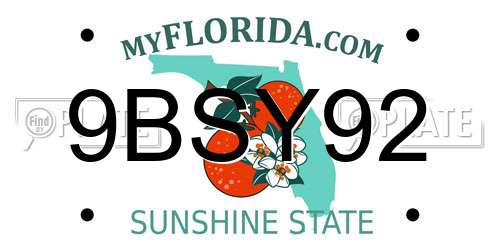 9BSY92 Florida License Plate