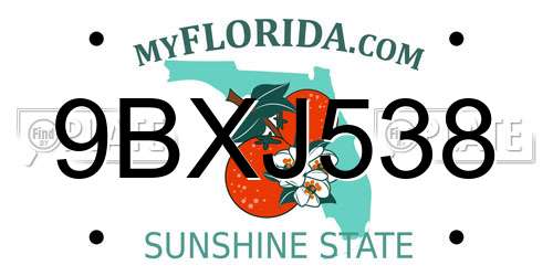 9BXJ538 Florida License Plate