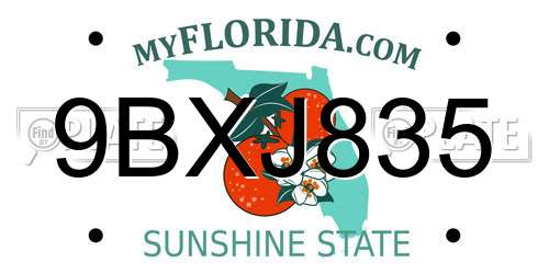 9BXJ835 Florida License Plate