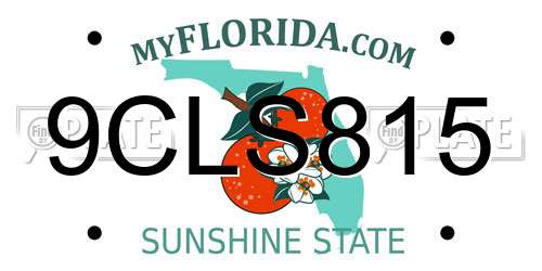 9CLS815 Florida License Plate