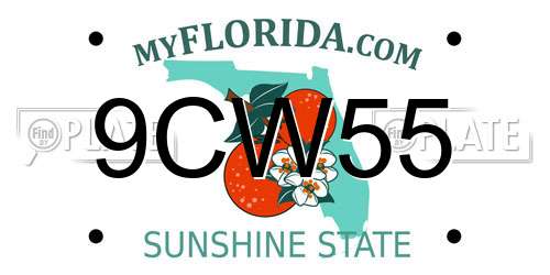 9CW55 Florida License Plate