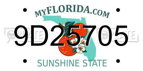 9D25705 Florida License Plate