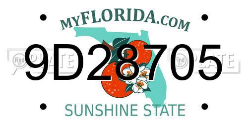 9D28705 Florida License Plate