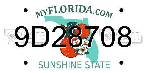 9D28708 Florida License Plate