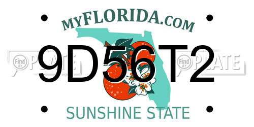 9D56T2 Florida License Plate
