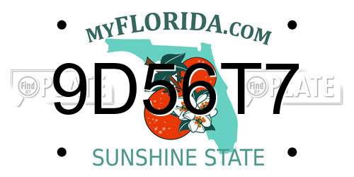 9D56T7 Florida License Plate