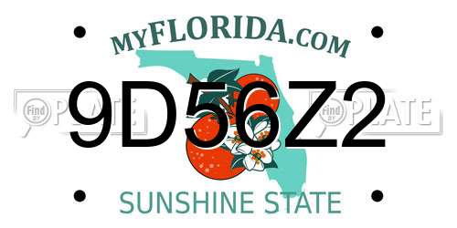 9D56Z2 Florida License Plate