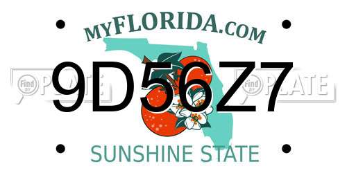 9D56Z7 Florida License Plate