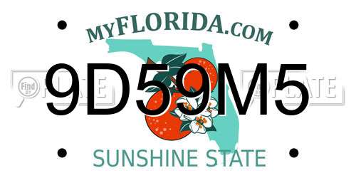 9D59M5 Florida License Plate