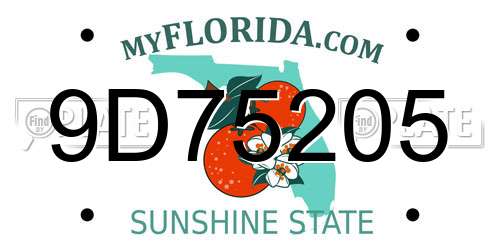 9D75205 Florida License Plate