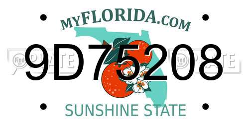 9D75208 Florida License Plate