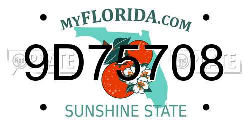 9D75708 Florida License Plate