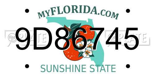 9D86745 Florida License Plate