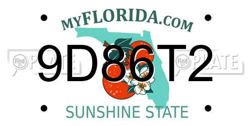 9D86T2 Florida License Plate