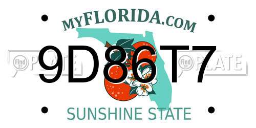 9D86T7 Florida License Plate
