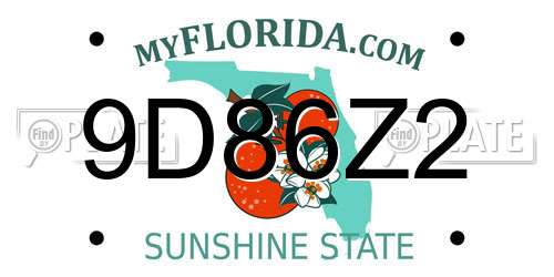 9D86Z2 Florida License Plate