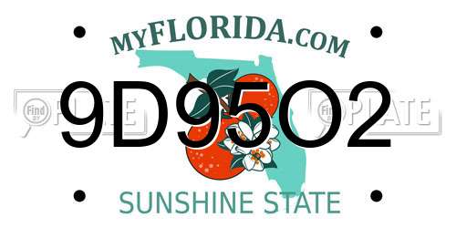 9D95O2 Florida License Plate