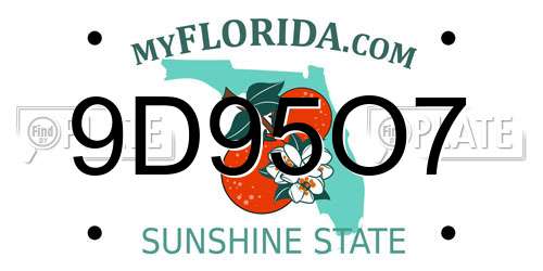 9D95O7 Florida License Plate