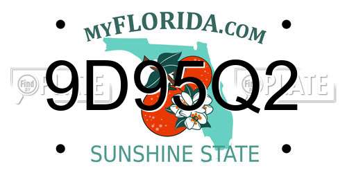 9D95Q2 Florida License Plate